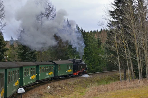 Fahrt mit dem Zug durch den Wald