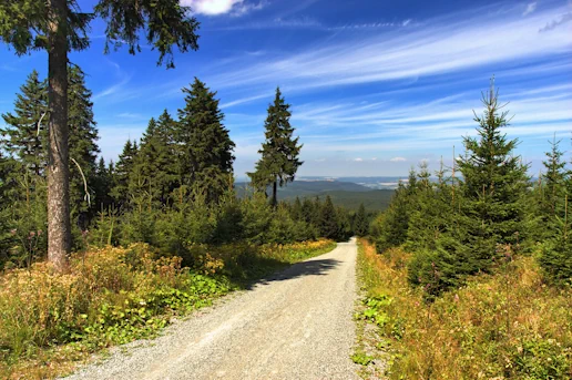 Wandern