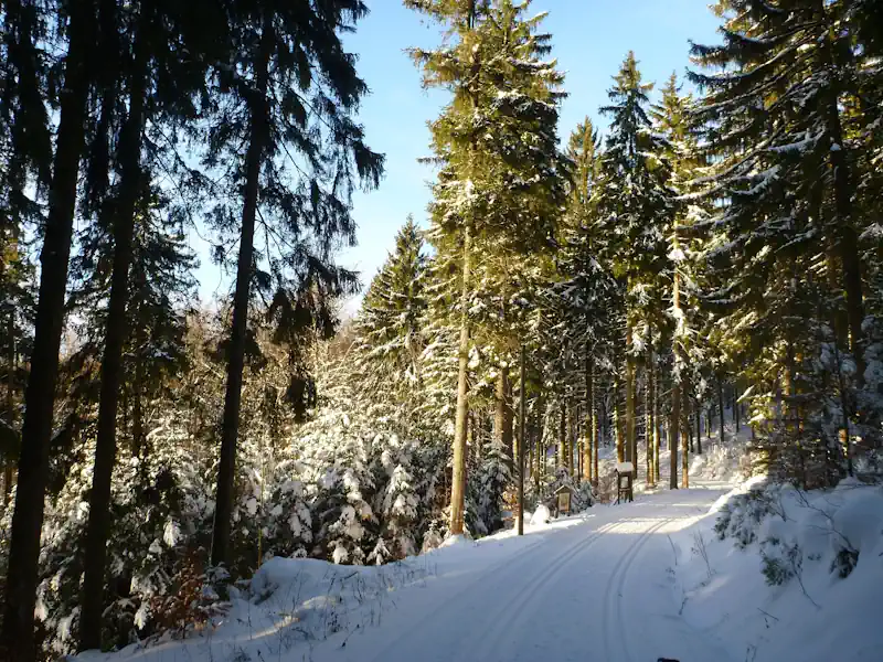 ferienhaus-landschaft