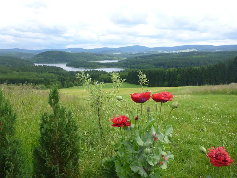 ferienhaus-natur-panorama