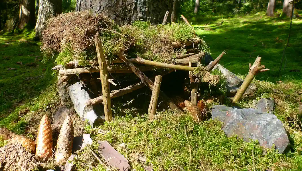 ferienhaus-umgebung-naturpfad